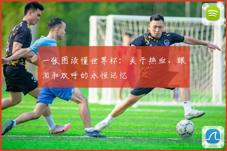 一张图读懂世界杯:关于热血、眼泪和欢呼的永恒记忆