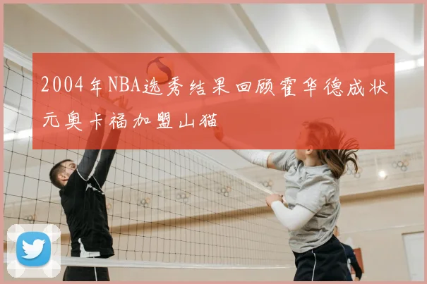 2004年NBA选秀结果回顾霍华德成状元奥卡福加盟山猫