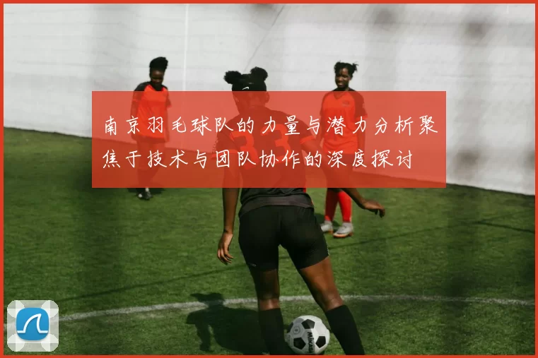 南京羽毛球队的力量与潜力分析聚焦于技术与团队协作的深度探讨