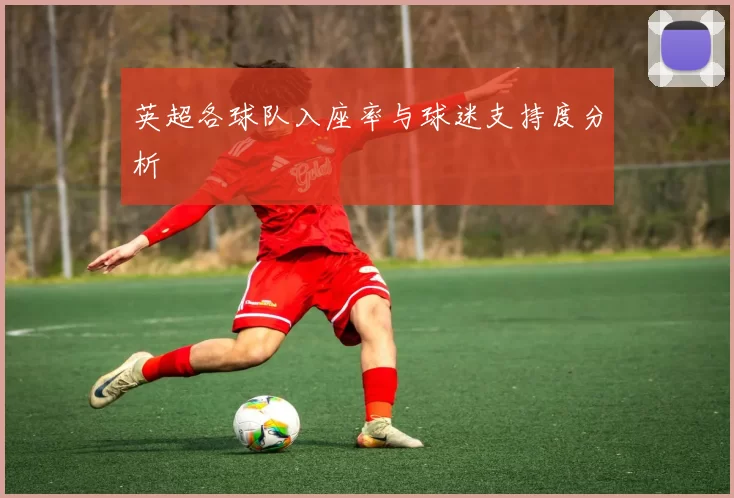 英超各球队入座率与球迷支持度分析