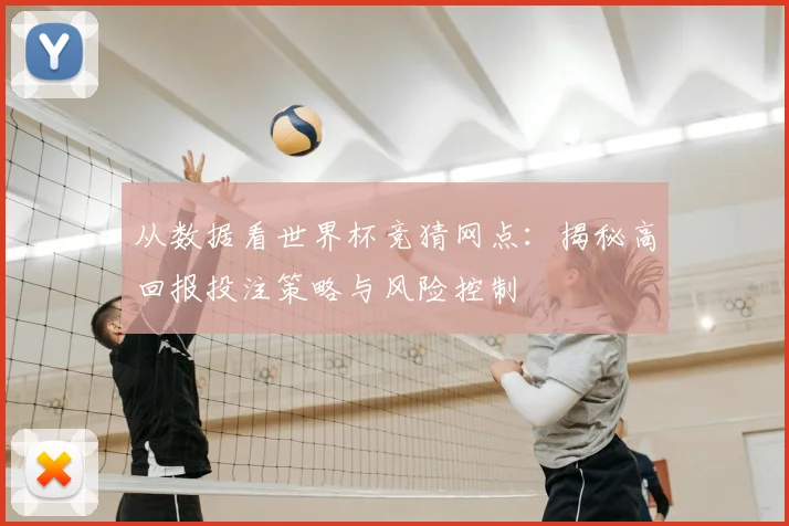 从数据看世界杯竞猜网点：揭秘高回报投注策略与风险控制