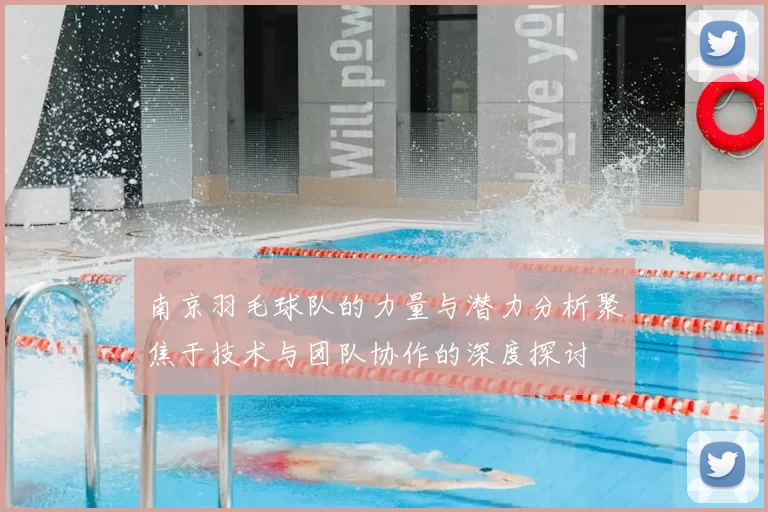 南京羽毛球队的力量与潜力分析聚焦于技术与团队协作的深度探讨