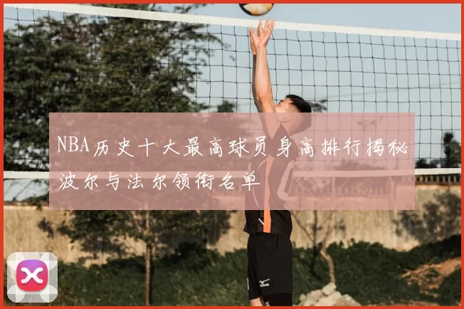 NBA历史十大最高球员身高排行揭秘波尔与法尔领衔名单