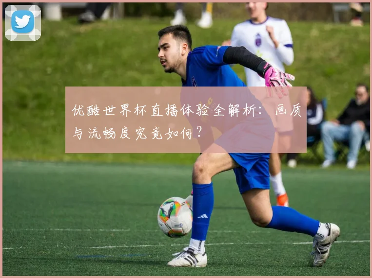 优酷世界杯直播体验全解析：画质与流畅度究竟如何？