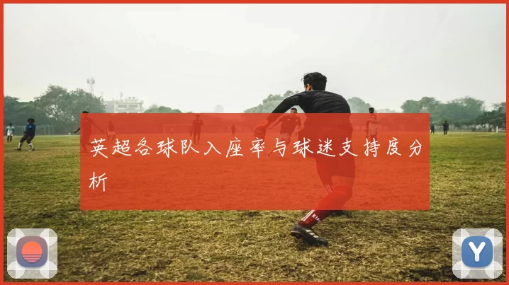 英超各球队入座率与球迷支持度分析