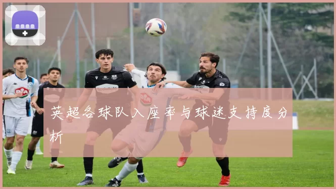 英超各球队入座率与球迷支持度分析