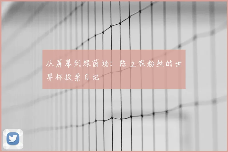 从屏幕到绿茵场：陈立农粉丝的世界杯投票日记