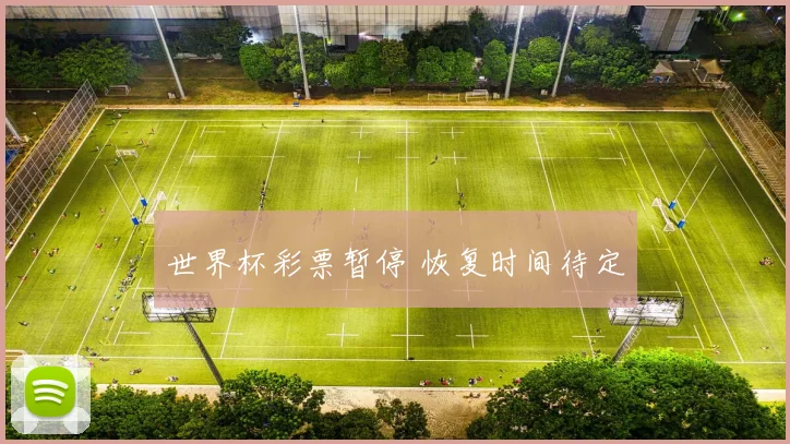 世界杯彩票暂停 恢复时间待定